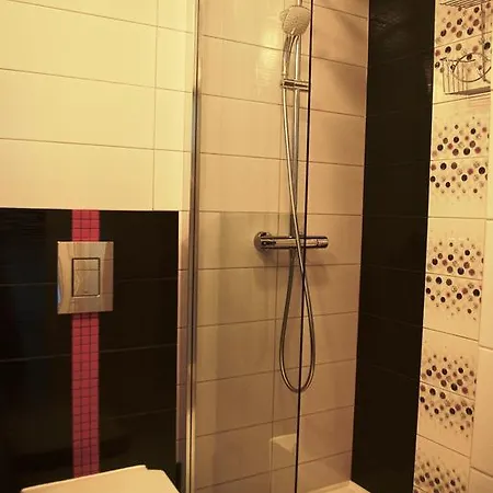Apartament Leśne Tarasy *