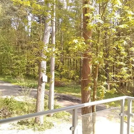 Lesne Tarasy * Dziwnówek